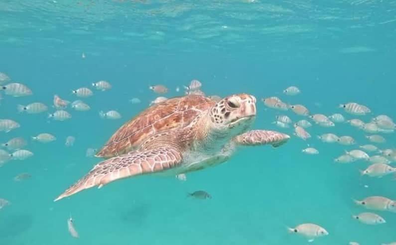 Casa Jpi Otel São Pedro Dış mekan fotoğraf